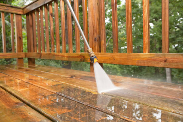 Best Roof Cleaning and Mildew Removal in Garrison, TX